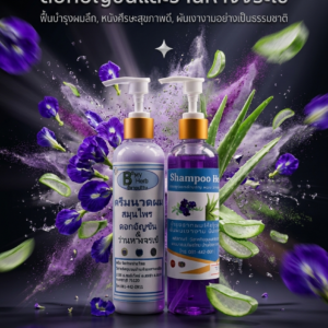 เซ็ทคู่แชมพูกับครีมนวดดอกอัญชันและว่านหางจระเข้